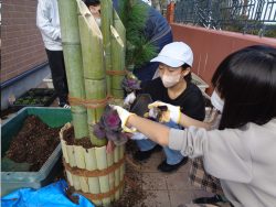 12月25日　門松つくり🎍　6年生